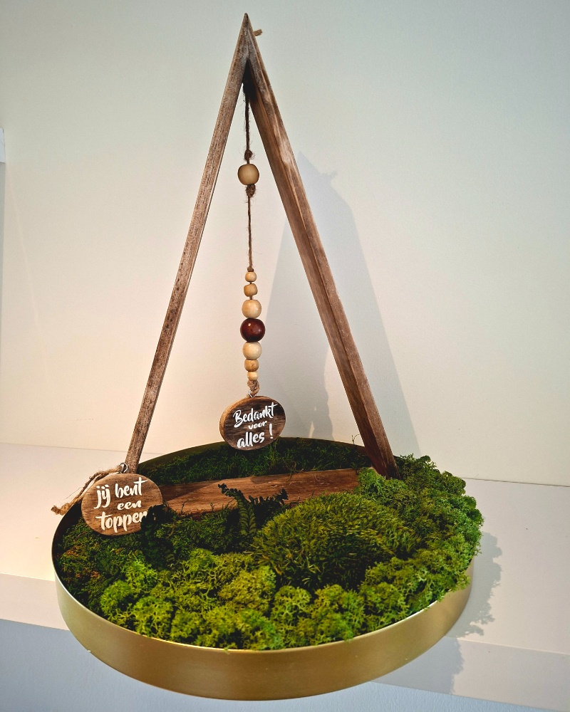 Deco Moscirkel met houten driehoek